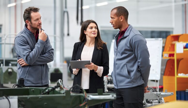 layered process audit